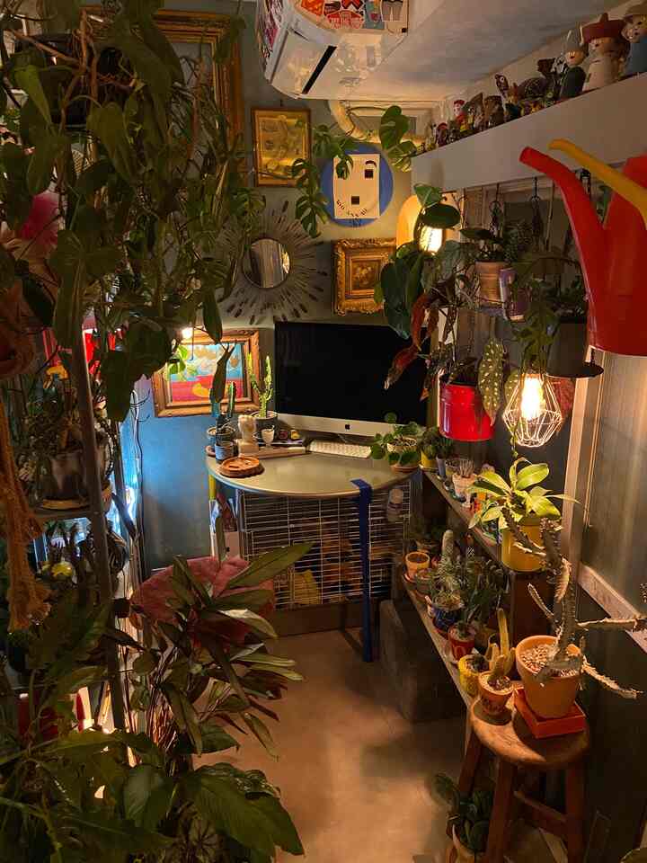 作り替えた丸テーブルと、それに合わせて変えたウォールデコが見える夜の景色が最近のお気に入りです◎
#ミッドセンチュリー #昭和レトロ #ヴィンテージ
#観葉植物 #グリーンインテリア #多国籍インテリア
#書斎インテリア #PCルーム 