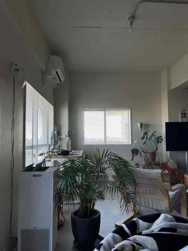 ホワイトとグリーンの色調のリビング兼ホームオフィス、大小の観葉植物とシンプルな家具が配置されたモダンで自然な雰囲気のインテリア