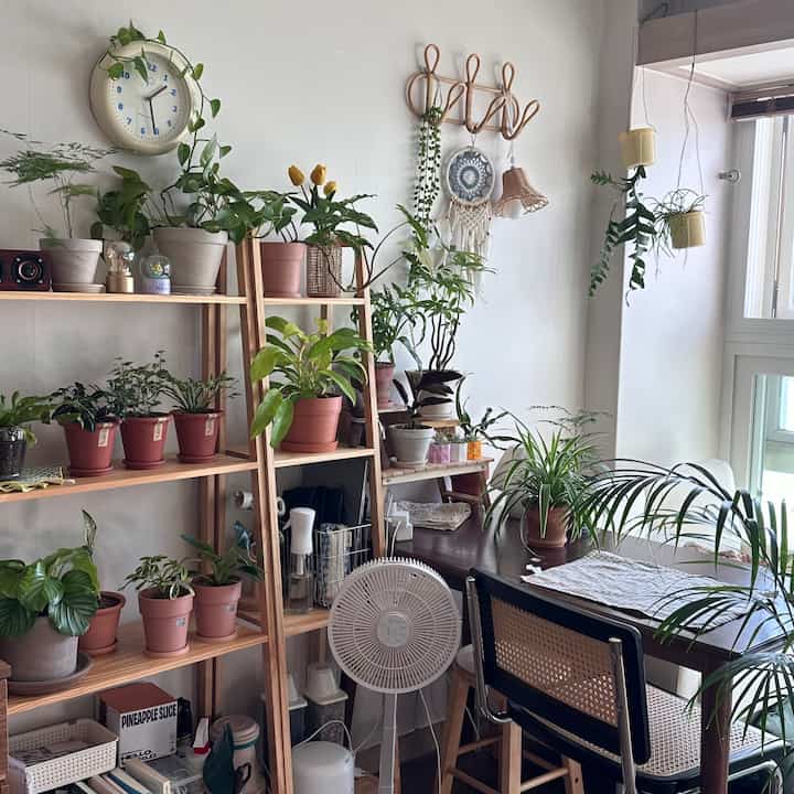 ナチュラルなウッドトーンと植物が配置されたリビングのダイニングスペース、明るい窓辺で雰囲気のあるインテリア