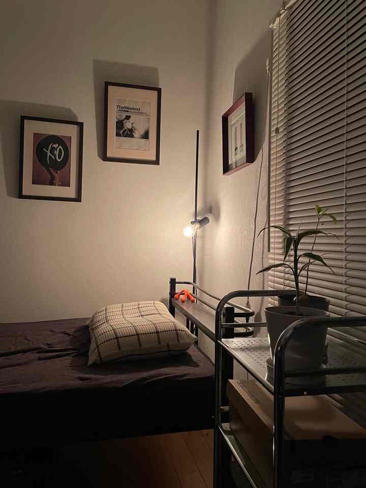 Cozy bedroom with warm wood-tone flooring and dark brown bedding, wall-mounted lighting and plants on a metal shelf