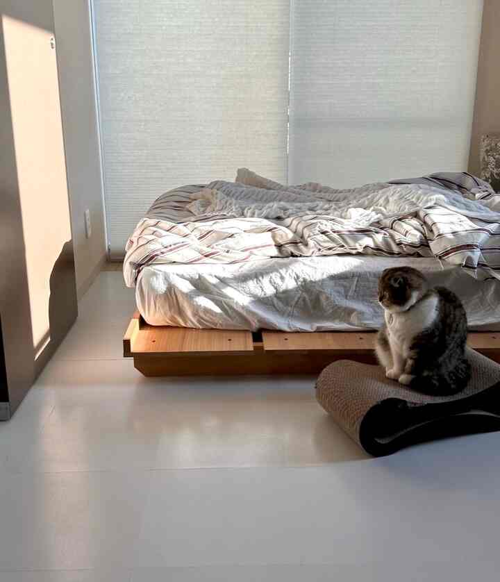 Kamar tidur kami menerima banyak sinar matahari pagi 🛏️


#Perlengkapan interior Skandinavia #Hidup dengan interior Skandinavia #De-interior #Memilih untuk tinggal di sewa #Rental life #Sewa apartemen living #Ruangan untuk tinggal bersama kucing #Membuat ruangan untuk ditinggali bersama kucing #Ruang maksimalis #Membuat sebuah ruang maksimal # Kecerdikan maksimal #furnitur ikea #lampu donat #barang-barang Maroko #interior Maroko #mencari permadani #interior idee #interior muji #VARMBLIXT #rental DIY #wallpaper DIY #ubin lantai DIY #peralatan hidup #zakka #nikmati hidup