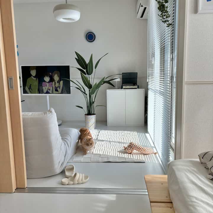 白とナチュラルカラーのリビングルーム、ミニマルなソファとテレビ、猫がいる温かみのある雰囲気のインテリア