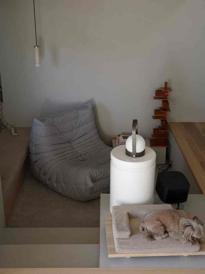 ナチュラルな色調のダウンリビング、グレーのロゼトーゴソファとベージュのペットベッドに犬が寝そべる、温かみのある空間