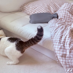 구석에서 공 찾는 중 🧶🐈
따숩고 푹신한 러그 위에서 놀아요
#살림살이 #콘수프기록 #난방 #난방비절약 #러그 #보온물주머니 #보온
