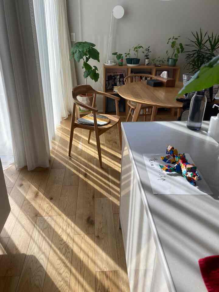 ナチュラルな木目調と白が調和したダイニング、丸いダイニングテーブルと植物が配置された雰囲気のあるインテリア