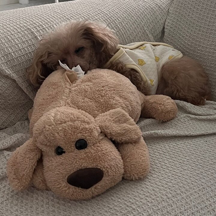 short form carousel card thumbnail