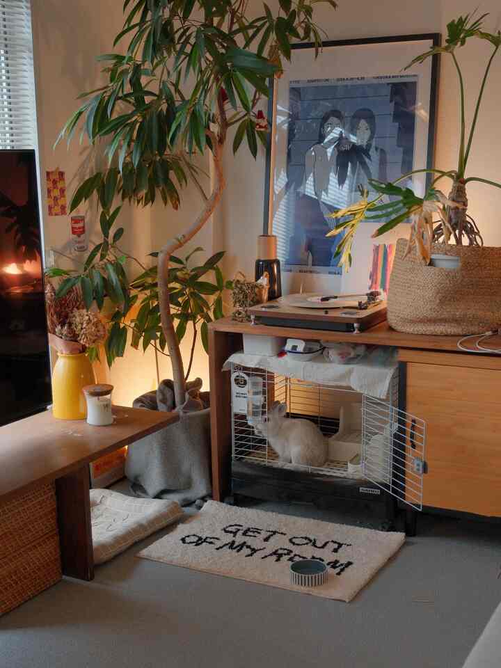 ナチュラルカラーと木目調のリビング、ラグとウサギが配置された雰囲気のあるインテリア