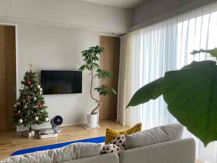 クリスマスツリー🎄
オーナメントを今年は3つ増やしました🔴🔴🔴


#リビング #リビング植物 #リビングカーテン #トレジュール　#ソファ　#イケアソファ #観葉植物 #エバーフレッシュ