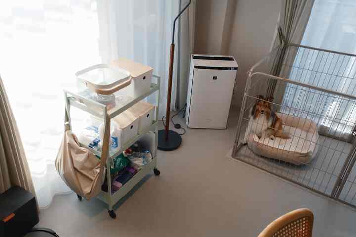 Small white and natural toned room featuring a kitchen cart and a dog resting in a pet house with a clean pet-oriented atmosphere