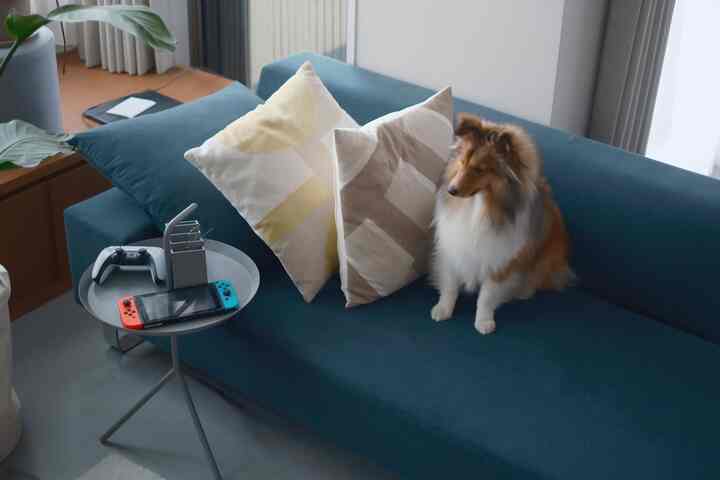 わんちゃん飼ってるおうちのインテリアが気になる今日この頃... 人間も犬も暮らしやすくて素敵なおうち目指したい！
#犬がいる暮らし #犬との暮らし