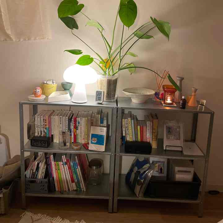 ナチュラルカラーの植物と照明がある一人暮らしの1K空間、金属製の棚に本や小物が整頓された雰囲気のあるインテリア