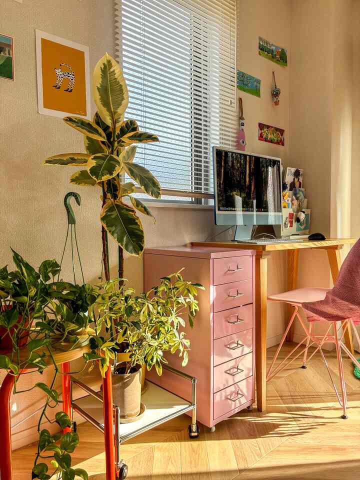 Bright natural-lit studio home office with pink storage unit and green plants creating cozy atmosphere