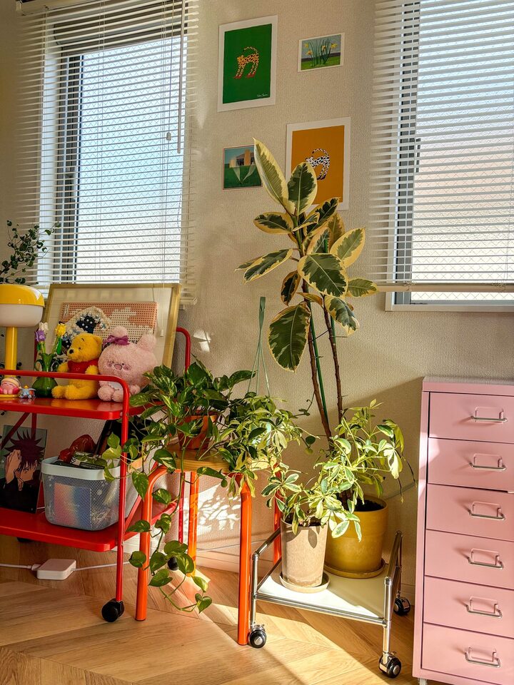 short form carousel card thumbnail