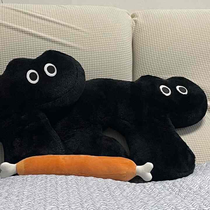 ベージュの壁とソファがあるリビング、黒いペット用クッションとオレンジ色の骨形クッションが置かれた雰囲気のある空間