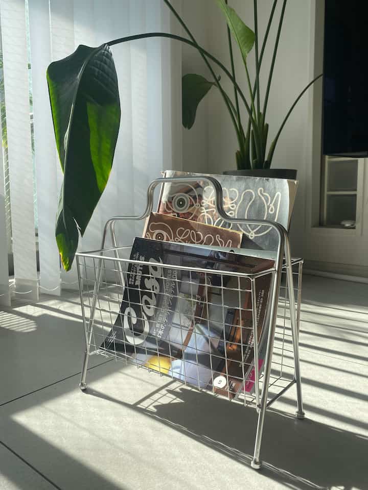 Bright natural light fills a living room with a silver magazine rack holding magazines and green plants, showcasing a simple natural interior