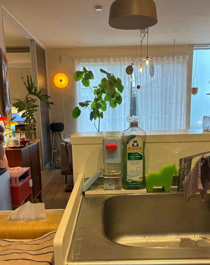 少し前にオートソープディスペンサーを買いました✨配色が好きすぎる スポンジはずっとIKEAのお馬さんでストックしまくってます😸 #キッチン小物 #キッチン周り #猫インテリア #猫がいる暮らし #カラフル #カラフルなインテリア #ソープディスペンサー #台所