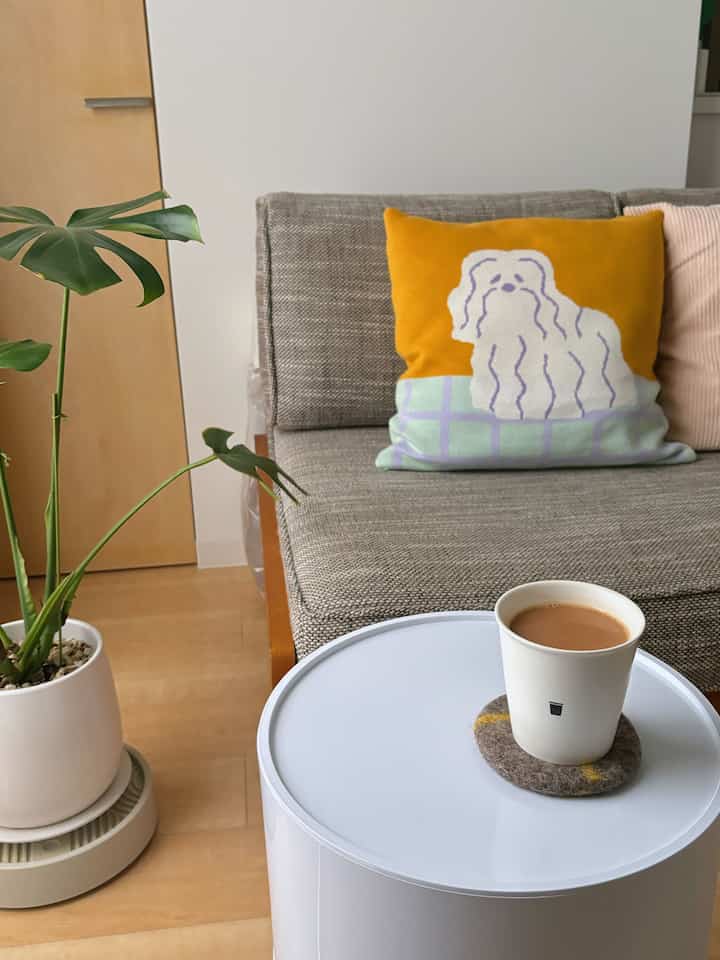 モンステラには移動式プランターを使ってますが、
サイドテーブル（丸型キャビネット）の下にも実はもう一つ、同じものを入れてます！

移動させるのが楽になるのでおすすめです🤞🏻

#ホワイト家具 #観葉植物 #モンステラ #移動式プランター #ベッドサイドテーブル #ウニコ #ナチュラルインテリア #モダンインテリア #モダンナチュラル #一人暮らし部屋 