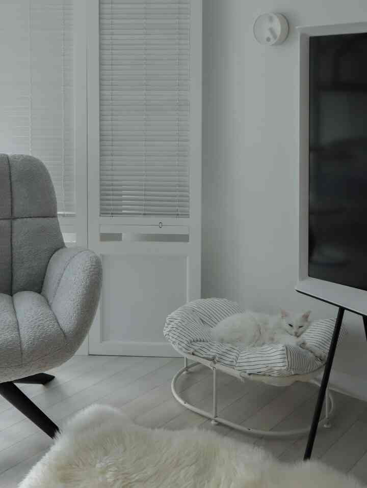 【中身付き】ペット クッション ストライプ［3色・2サイズ］を使ったコーディネート 3