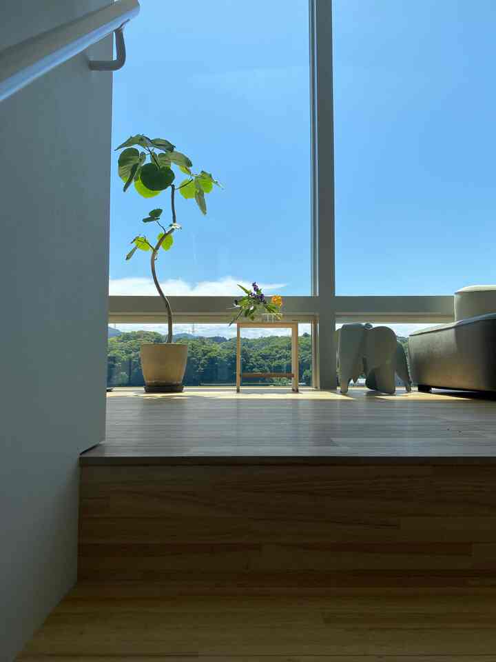 アアルトのベースに花を飾りました
何を飾っても絵になる

#ulmstool
#iittala
#eames