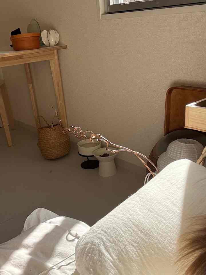 
#Perlengkapan interior Skandinavia #Hidup dengan interior Skandinavia #De-interior #Memilih untuk tinggal di sewa #Rental life #Sewa apartemen living #Ruangan untuk tinggal bersama kucing #Membuat ruangan untuk ditinggali bersama kucing #Ruang maksimalis #Membuat sebuah ruang maksimal # Kecerdasan maksimal #furnitur ikea #lampu donat #barang-barang Maroko #interior Maroko #mencari permadani #idee interior #interior muji #VARMBLIXT #rental DIY #wallpaper DIY #ubin lantai DIY #peralatan hidup