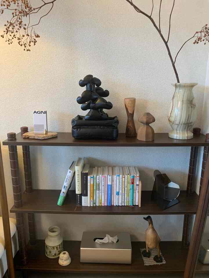 譲り受けたヴィンテージ棚には蚤の市で出会ったオブジェやお気に入りのエアー盆栽など色んな要素をミックスさせつつまとまりがあるように飾っています🪶
#キャビネット #飾り棚 #飾り方 #ヴィンテージ #MoMA #ティッシュケース 