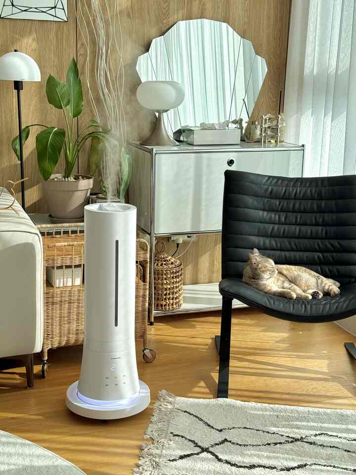 #예쁜가전잘산템 #에어메이드 #아쿠아마린가습기
家にはきれいな家電だけ入れたいんじゃないですか！？
デザイン性能ともに捕まえた私たちの家加湿器ご紹介します！
まさにエアメイドアクアマリン加湿器です！
加湿器機能はもちろん、複数の便利な機能満載～

✔️最初の最初
それは80℃の高温殺菌機能です。
熱い熱で水を殺菌して有害菌を取り除くから、 
呼吸器に敏感な方には必ず必要な機能でしょう？

✔️第二は自動乾燥機能！
加湿器の自動乾燥機能は初めて見ると思います。
加湿器を使うときに最も気になるのは水の時とカビです。
この製品は90分熱風自動乾燥機能があるので心配ないという点！
毎回掃除するのは大変でしたが、もう手が少ないので本当に楽です

✔️3番目は9段階噴霧調整にAI湿度調整機能です。
湿度調整が9段階で繊細に調整可能
AI湿度調整機能を使用すると、知っていて硬い
湿度を合わせてくれるので、これより楽にできませんよね？

✔️またエアメイドはリモコンに湿度センサーを内蔵しています 
生活半径内の湿度を正確に測定します。
本体内部に湿度センサーを搭載した通常の加湿器より
より繊細に適正湿度を維持できます。

✔️そしてエアメイドアクアマリン加湿器 
なんと9Lの大容量製品なのでサイズが大きい方なのに 
別売品のムービングホイールを利用すれば移動も簡単ですよ！

✔️最後はIoT機能
「ツヤスマート」アプリで連動になって家の外でも湿度確認や
タアミ設定などすべての機能を制御可能です！

エアメイド胎児加湿器 アクアマリン AMH-9002(9L複合式) #태아가습기 #아쿠아마린가습기 #가습 #가습기추천 #가열식가습기 #복합식가습기 #가습기청소 #가습기선물 #집들이선물 #인테리어가전 #잘샀템 #우리집잘산템 #humidifier #livingroom #예쁜템최고야 