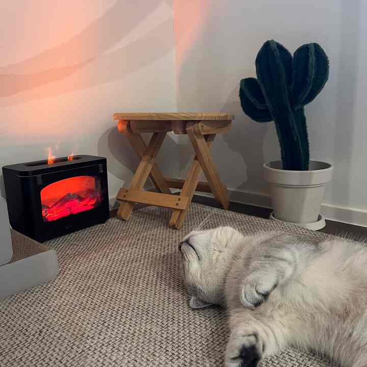 柔らかなウッドとホワイトのトーンのリビング、ラグの上でくつろぐ猫がいるミニマルな雰囲気のインテリア