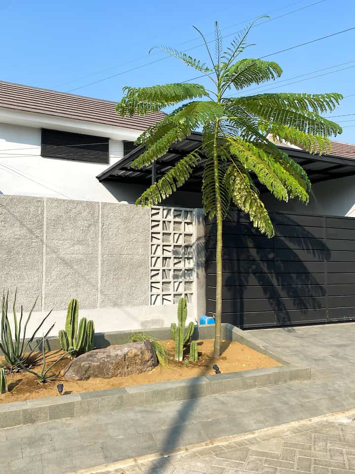 Ini adalah fasad rumah eksterior ku, untuk bagian di dalamnya belum terlalu rapi sehingga tidak ditampilkan. Semoga next bisa spill setelah semua rapi 🤭 Kami mengambil tema modern minimalis dengan aksen roster yang ditata random dan diletakkan satu pohon saja agar bisa memberikan efek refreshment pada tema monokrom eksterior. Taman kami tata apa adanya, batu di tengah taman kecil adalah bawaan properti yang tidak bisa diangkat, jadi karna selamanya disitu, kami tambahkan saja tanaman disekitarnya agar lebih tematik 🤗🌳🌵
#pagarrumah #pagarrumahminimalis #warnacatpagar #tembokwaterproof #lantaibatualam #pohonsolobium #tamansederhana #tamankaktus #pagarroster #rosterabuabu #Inspirasifasad #StyleFasad