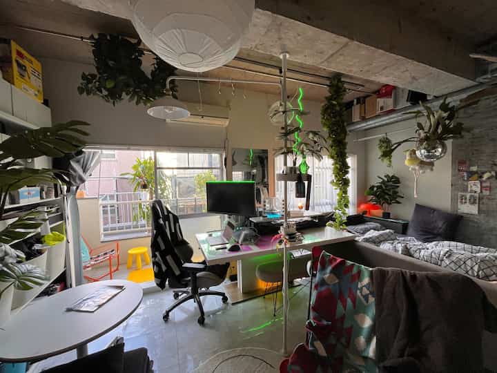 白を基調とした横長のワンルーム、黒のオフィスチェアやペンダントライト、多くの観葉植物が配置されたモダンなインテリア