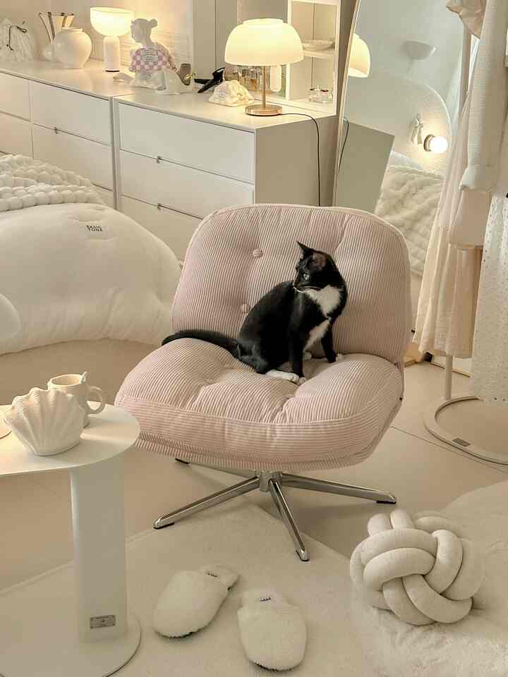 Cozy small room in bright white and beige tones featuring a soft armchair with a black cat sitting on it