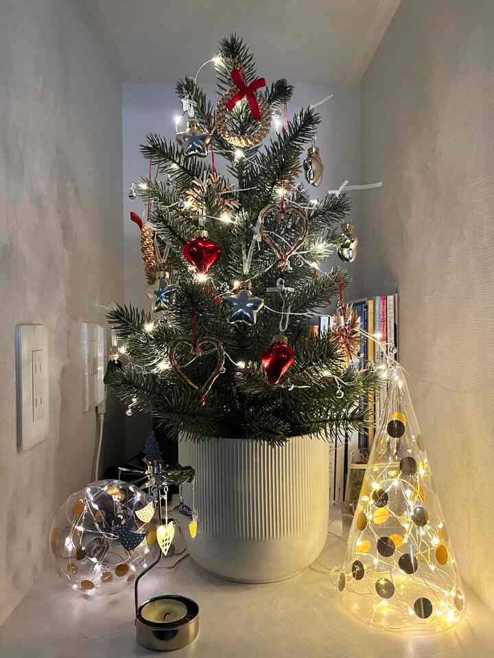小さなクリスマスツリー🎄
ツリー、鉢カバー、ライト、オーナメント、全部IKEAで🪅

#一人暮らし #団地暮らし #クリスマスツリー #ミニツリー  #ikea #christmastree #christmasdecor