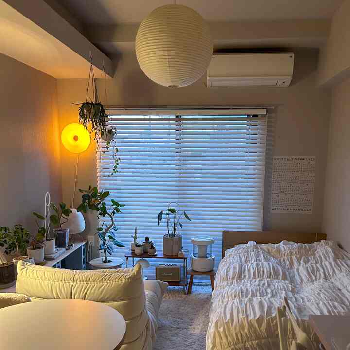 White and natural tone single household bedroom featuring a sofa and various plants with a cozy atmosphere