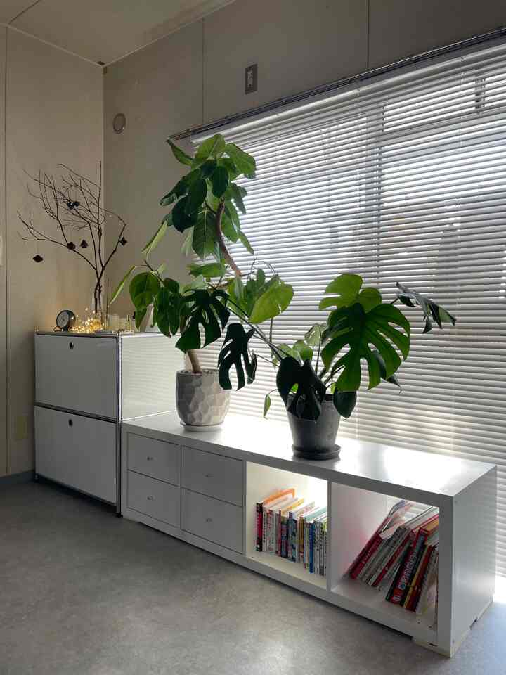 白い収納家具とブラインドの窓際に置かれた大きな植物がある清潔感のあるダイニングの雰囲気あるインテリア