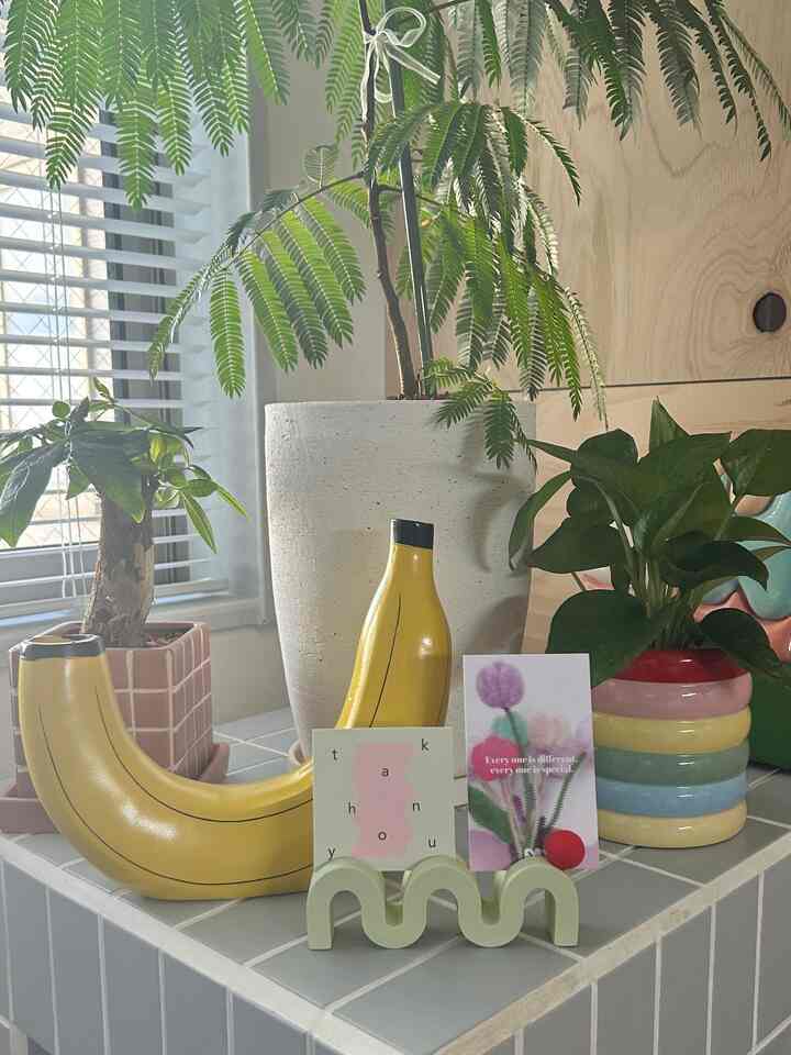 Colorful interior space featuring plants and a unique banana-shaped vase in Korean and overseas style