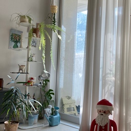 #weekendvibes #christmasdecor  #북타워 #식집사  