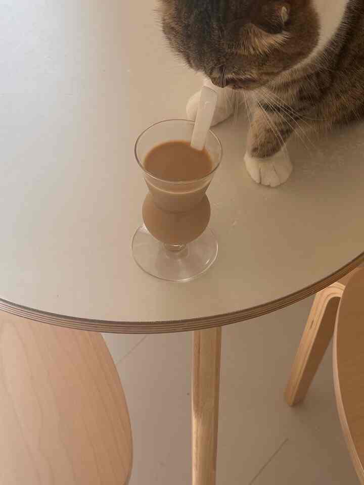 #北欧インテリア雑貨 #北欧インテリアのある暮らし #ディインテリア #賃貸で暮らすとゆう選択 #賃貸生活 #賃貸マンション暮らし #猫と暮らす部屋 #猫と暮らす部屋づくり #マキシマリストの部屋 #マキシマリストの部屋づくり #マキシマリストの工夫 #ikea家具 #ドーナツライト #モロッコ雑貨 #モロッコインテリア #ラグ探し中 #ideeインテリア #無印インテリア #VARMBLIXT #ヴァルムブリクスト #賃貸DIY { 21 #Wallpaper DIY} #フロアタイルDIY #暮らしの道具