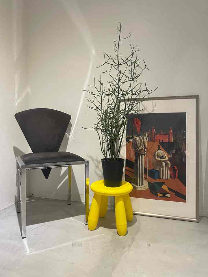 Bright yellow stool holding a milk bush plant beside a vintage postmodern armchair and a large framed poster in a simple modern entrance area