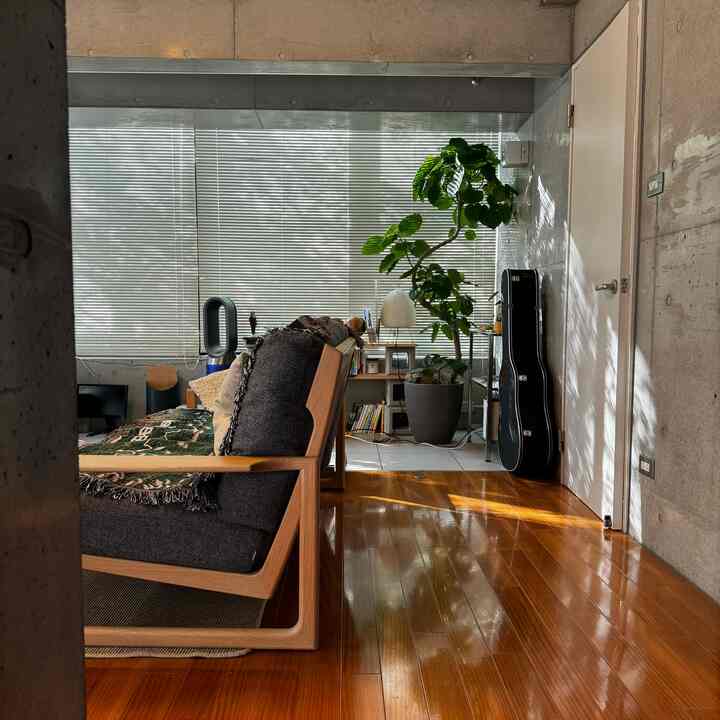 自然な木目調とコンクリート壁が調和した日差しの差し込むリビング、ソファと大きな観葉植物が配置された落ち着いた空間