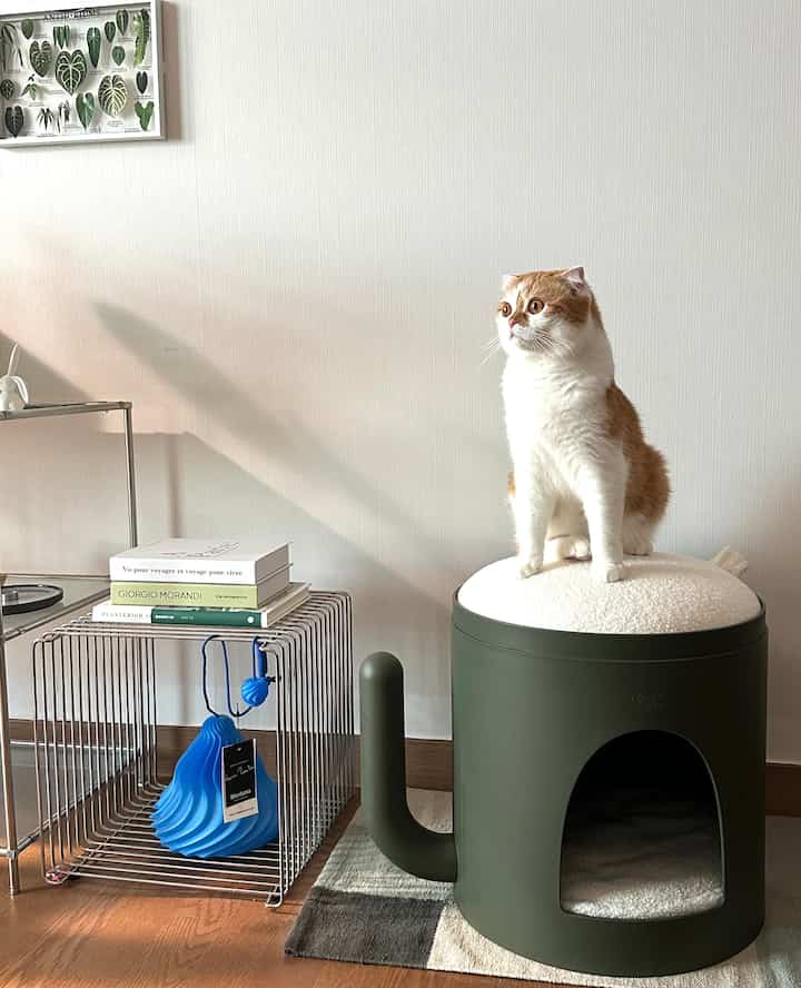 ナチュラルグリーンのリビング空間、アルコのペットハウスの上に猫が座る、落ち着いた雰囲気のインテリア