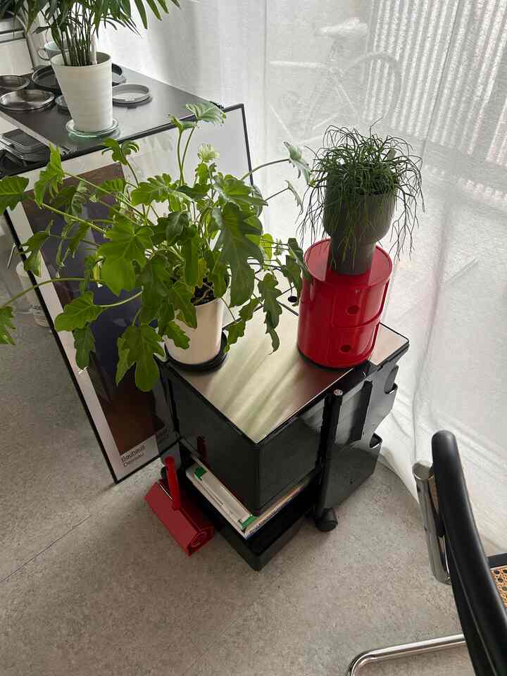 赤のアクセント

#ワンルーム　#一人暮らし　#窓際　#観葉植物