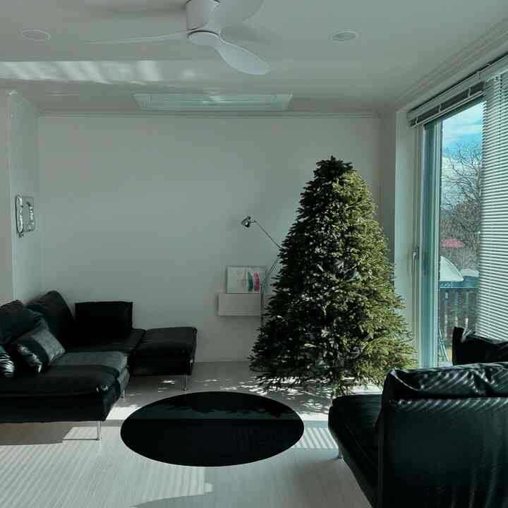 モノトーンのリビング、黒のレザーソファと大型のクリスマスツリーが配置されたモダンで清潔感のある空間