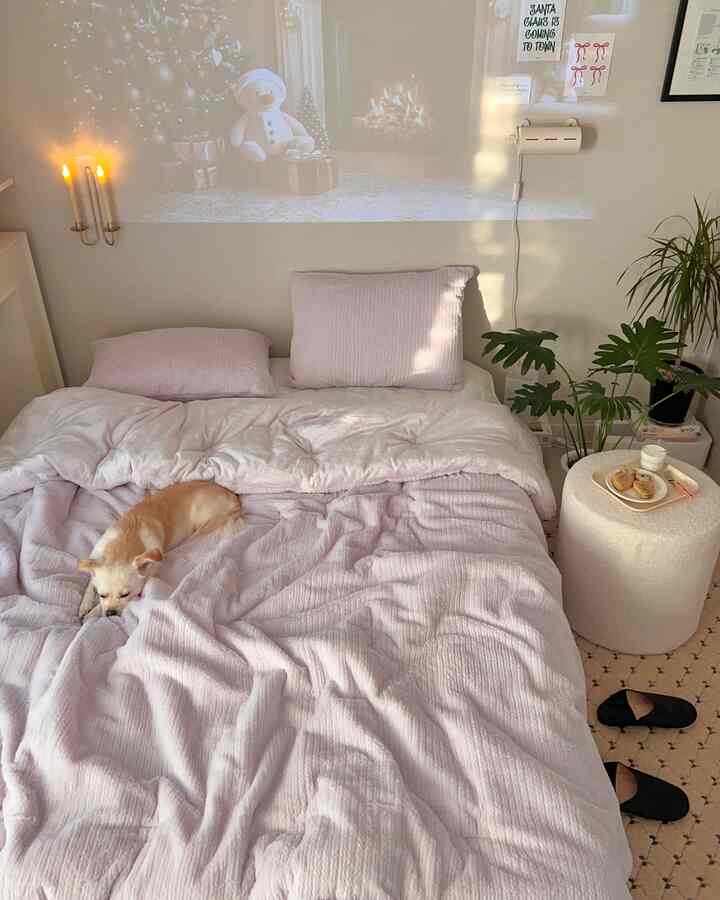 Cozy beige-toned bedroom featuring a plush bed with soft bedding, a dog resting peacefully, and green plants creating a natural atmosphere