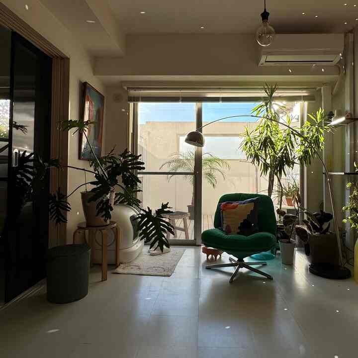 白を基調としたリビング、緑のアームチェアと多くの植物が配置され、窓際のペットベッドに猫が座っている雰囲気のあるインテリア