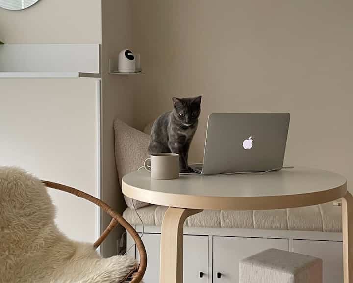 A white and wood-toned living room featuring a round table with a cat beside a laptop and mug, creating a cozy atmosphere