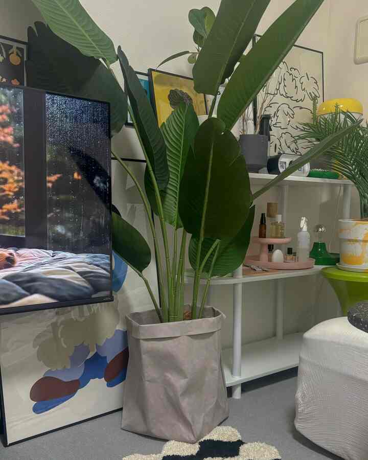 白と緑を基調とした8畳の寝室、中央に大きな造花の観葉植物が配された印象的で落ち着いたインテリア