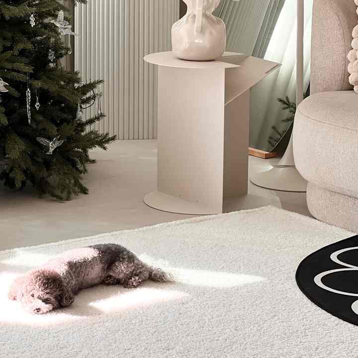 A cozy living room in white and beige tones featuring a dog lying on a white rug