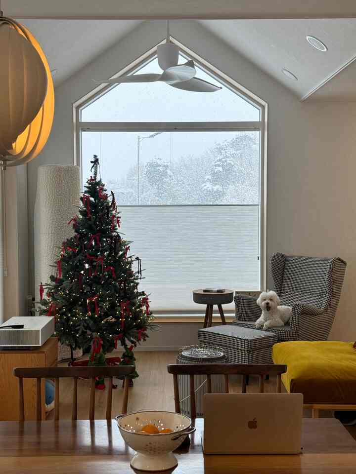 White and brown toned living room featuring a gable window with snowy view, Christmas tree, and a pet dog on an armchair in a cozy setting