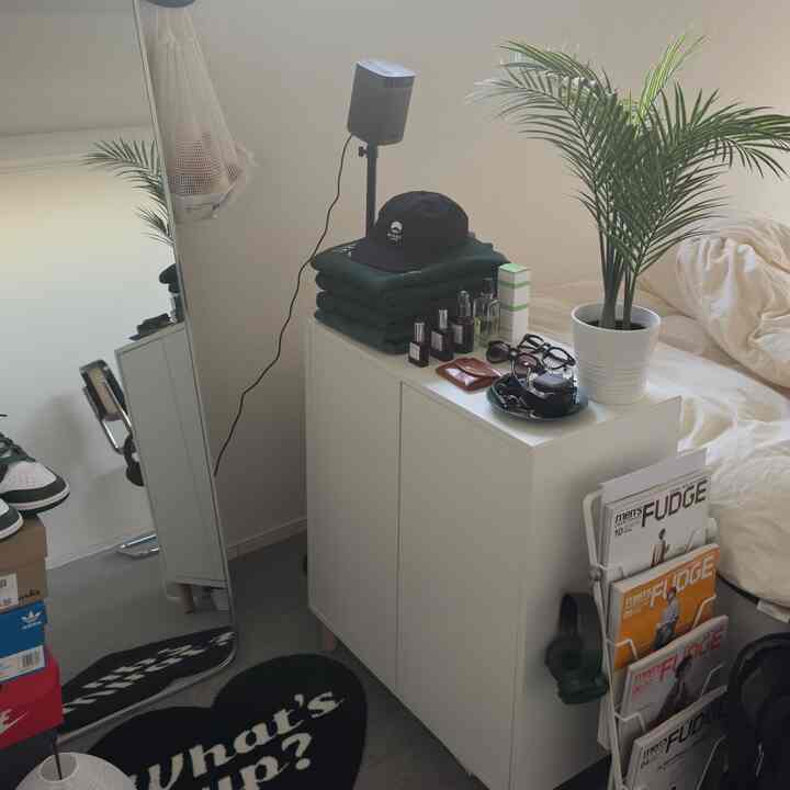 Bright natural-toned bedroom featuring a white cabinet and areca palm plant, creating a tidy atmosphere