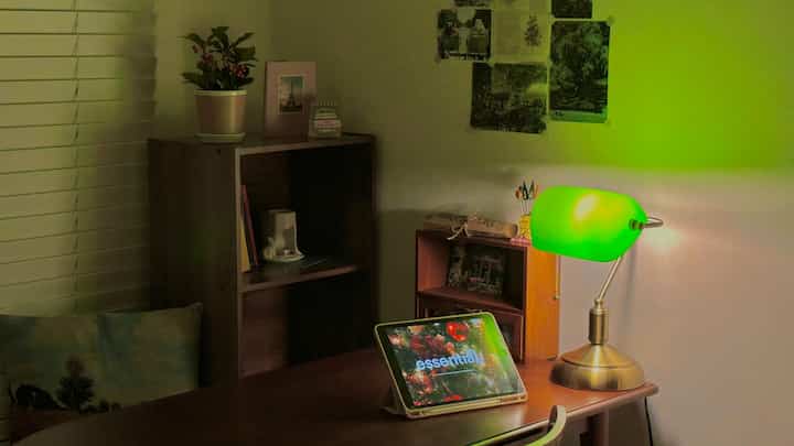 Cozy home office featuring green lamp lighting and natural wood furniture