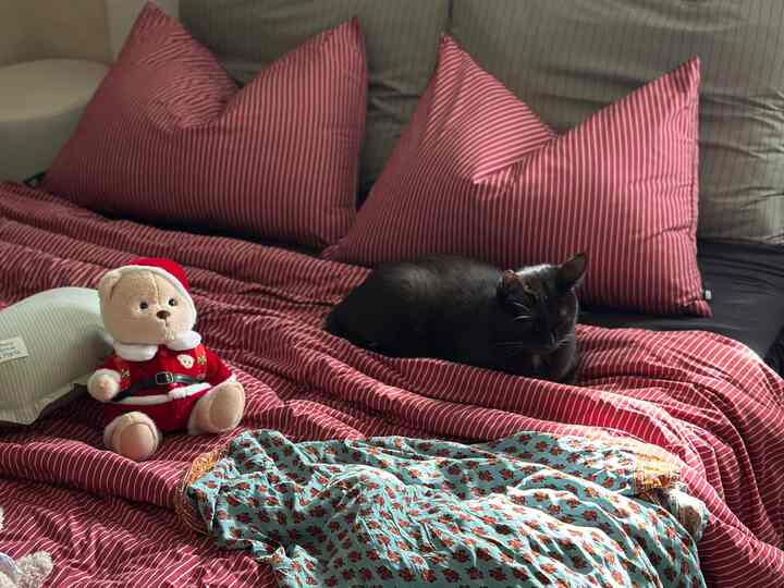 赤いストライプの布団と枕の上に黒い猫とサンタ服を着たテディベアがいる寝室のベッド